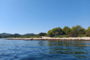 Secluded fisherman's cottage Krknata, Dugi otok - 8150